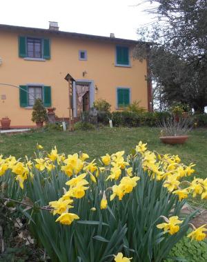 Agriturismo La Pineta - Fucecchio